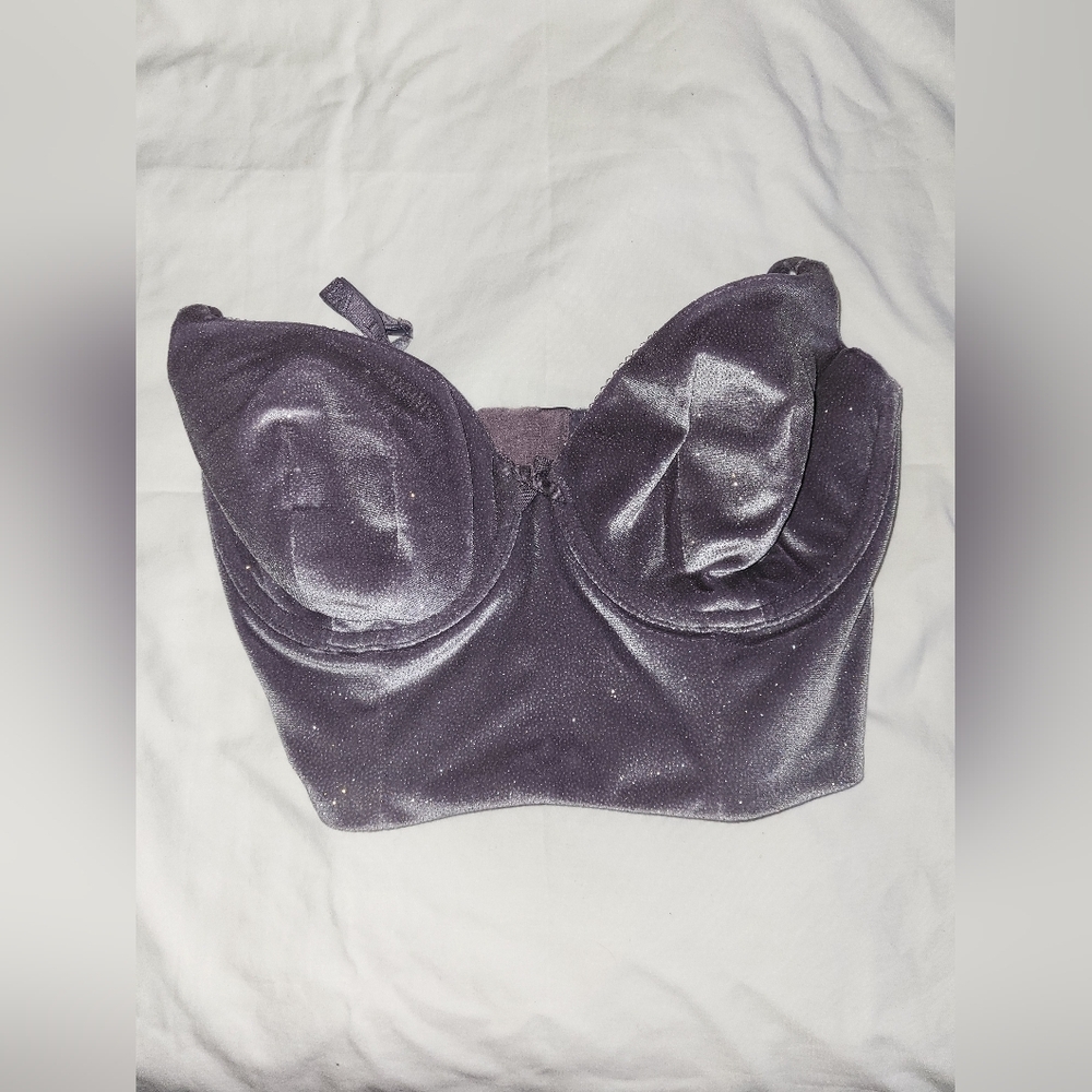 Victoria's Secret Shimmery Plum Longline Bralette